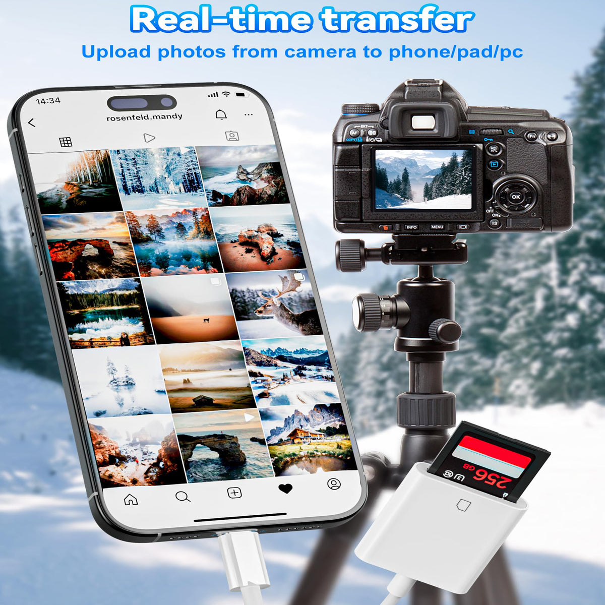 USB-C SD Card Reader Type C Memory Card Adapter Trail Camera Viewer for iPhone 16 15 iPad Pro MacBook Galaxy Android Plug and Play Photo Video Transfer